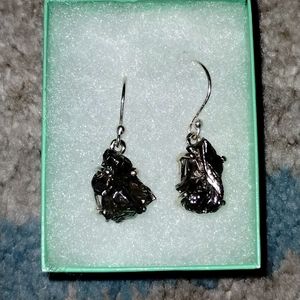 Campo del Cielo earrings